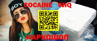 крисы Кулебаки