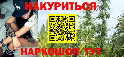 крисы Кулебаки