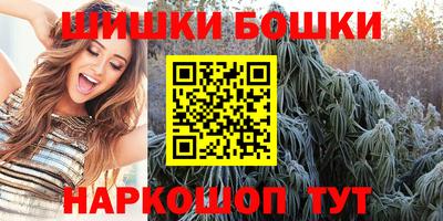 крисы Кулебаки