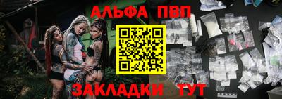крисы Кулебаки