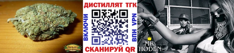 блэк спрут ссылки Ефремов Дистиллят ТГК концентрат