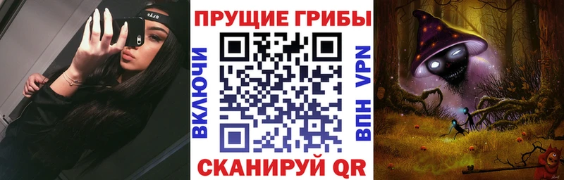 MEGA вход  Ефремов  Псилоцибиновые грибы Psilocybine cubensis  цена  