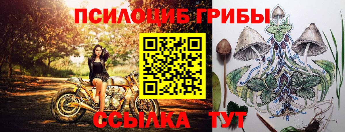 Псилоцибиновые грибы MAGIC MUSHROOMS  Вход с VPN  Ефремов 