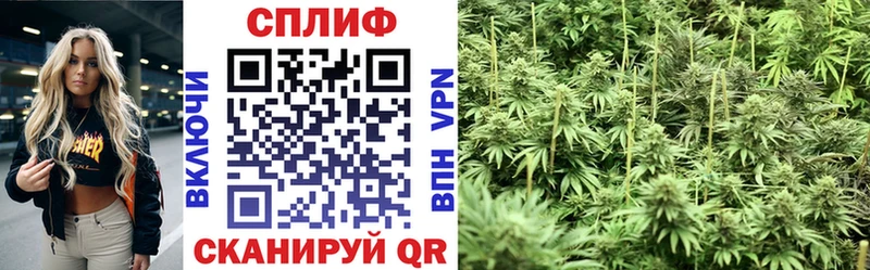 Бошки марихуана конопля  где можно купить наркотик  Ефремов 